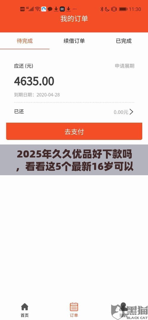 2025年久久优品好下款吗，看看这5个最新16岁可以贷款的平台