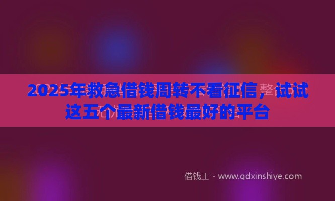 2025年救急借钱周转不看征信，试试这五个最新借钱最好的平台