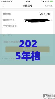 2025年桔多多有额度审核不通过，整理五个最新好借钱平台