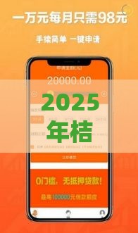 2025年桔子借款金融，整合五个最新企业贷款平台