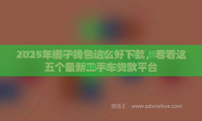 2025年橘子钱包这么好下款，看看这五个最新二手车贷款平台