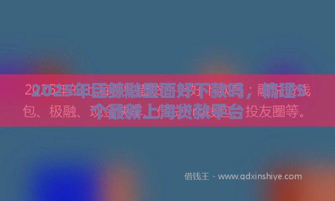 2025年巨鲸融里面好下款吗，梳理5个最新上海贷款平台