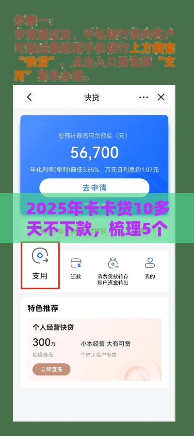 2025年卡卡贷10多天不下款，梳理5个最新小额贷款软件