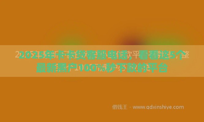 2025年卡卡贷客服电话，看看这5个最新黑户100%秒下款的平台