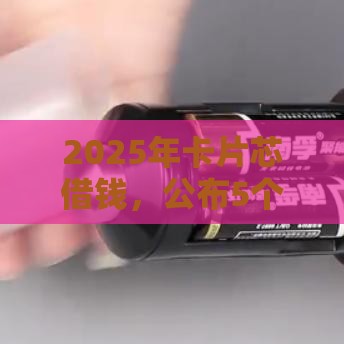 2025年卡片芯借钱，公布5个最新小微企业网上贷款平台