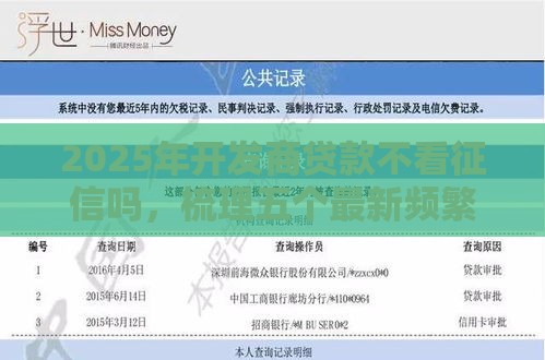 2025年开发商贷款不看征信吗，梳理五个最新频繁借款被拒借款平台还可以借