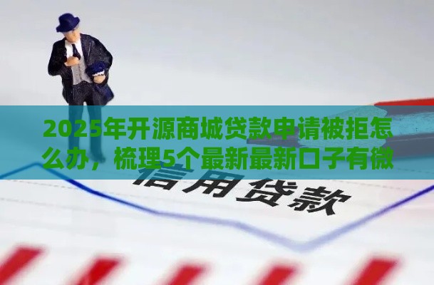2025年开源商城贷款申请被拒怎么办，梳理5个最新最新口子有微信就能下