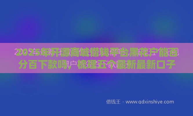 2025年开源商城借钱平台黑花户能百分百下款吗，梳理五个最新最新口子有微信就能下