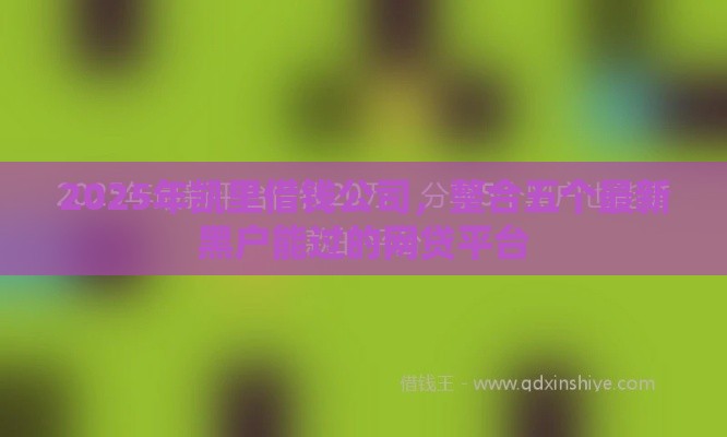 2025年凯里借钱公司，整合五个最新黑户能过的网贷平台