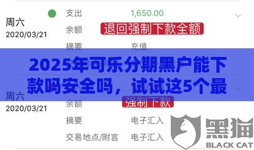 2025年可乐分期黑户能下款吗安全吗，试试这5个最新黑户网贷平台