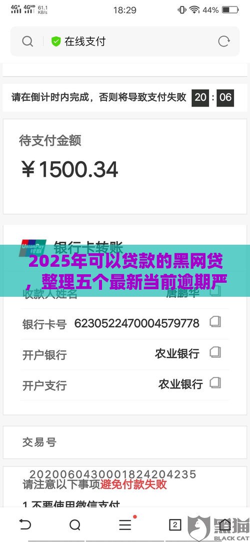 2025年可以贷款的黑网贷，整理五个最新当前逾期严重能下款的平台