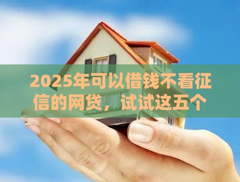 2025年可以借钱不看征信的网贷，试试这五个最新贷款平台好下款