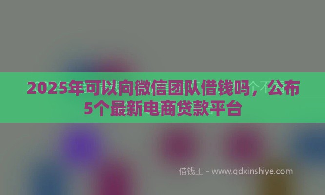2025年可以向微信团队借钱吗，公布5个最新电商贷款平台
