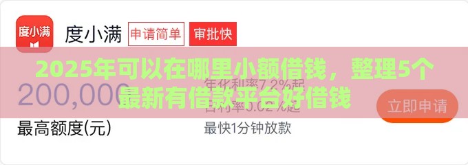 2025年可以在哪里小额借钱，整理5个最新有借款平台好借钱