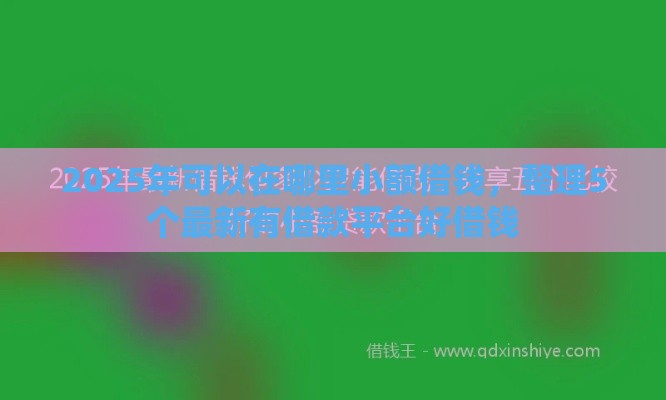 2025年可以在哪里小额借钱，整理5个最新有借款平台好借钱