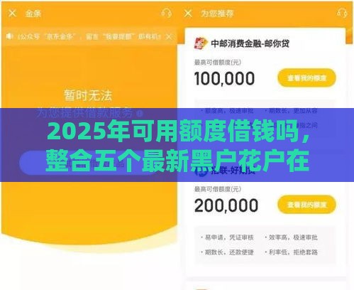 2025年可用额度借钱吗，整合五个最新黑户花户在平台能下款