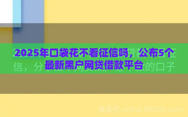 2025年口袋花不看征信吗，公布5个最新黑户网贷借款平台