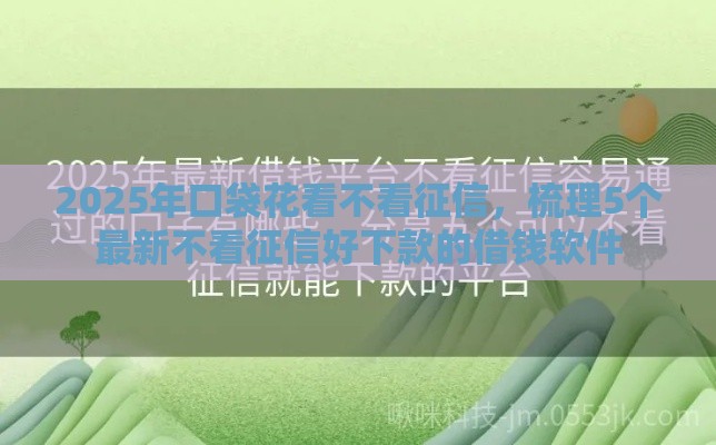 2025年口袋花看不看征信，梳理5个最新不看征信好下款的借钱软件