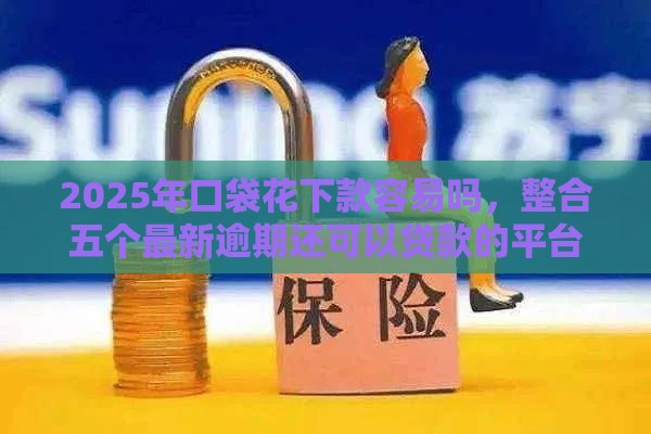 2025年口袋花下款容易吗，整合五个最新逾期还可以贷款的平台