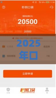 2025年口袋钱包现在好下款吗，看看这5个最新2025年黑户贷款平台