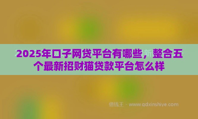 2025年口子网贷平台有哪些，整合五个最新招财猫贷款平台怎么样