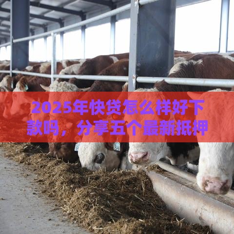 2025年快贷怎么样好下款吗，分享五个最新抵押车贷款平台