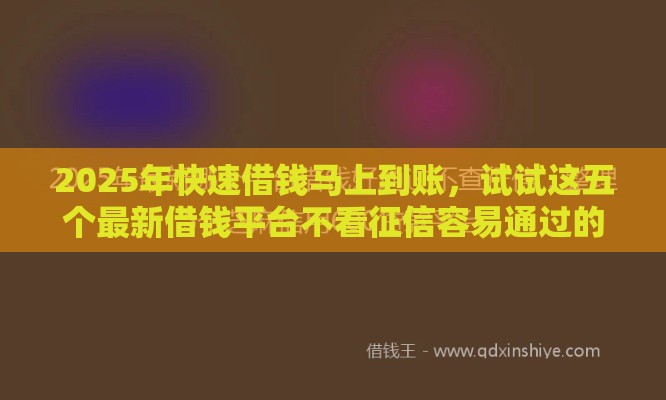 2025年快速借钱马上到账，试试这五个最新借钱平台不看征信容易通过的