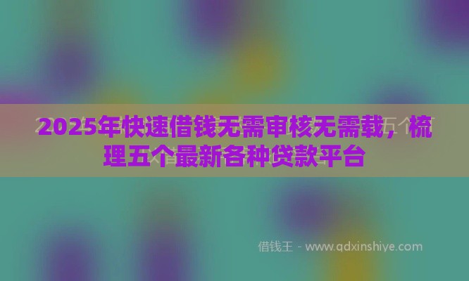 2025年快速借钱无需审核无需载，梳理五个最新各种贷款平台