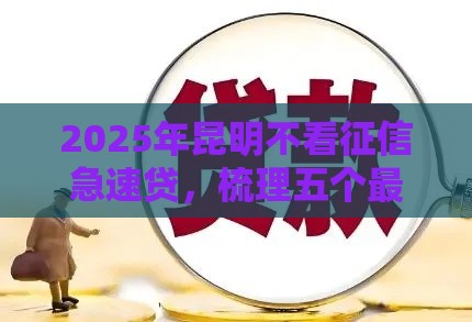 2025年昆明不看征信急速贷，梳理五个最新类似于贝乐享的口子