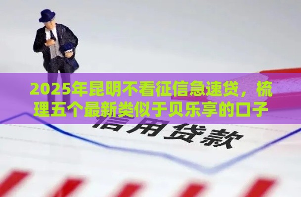 2025年昆明不看征信急速贷，梳理五个最新类似于贝乐享的口子