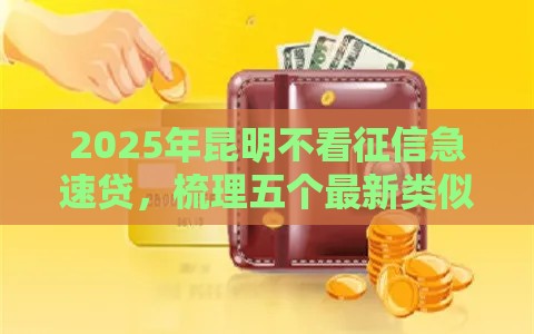 2025年昆明不看征信急速贷，梳理五个最新类似于贝乐享的口子