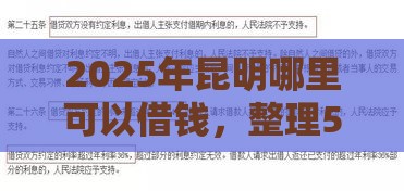 2025年昆明哪里可以借钱，整理5个最新2025年哪些借款平台不查征信大数据
