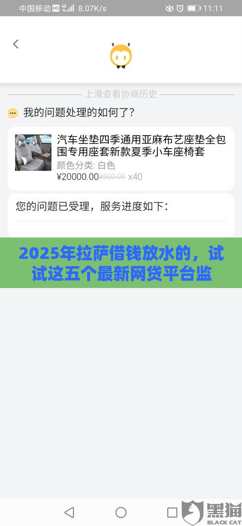 2025年拉萨借钱放水的，试试这五个最新网贷平台监管投诉电话