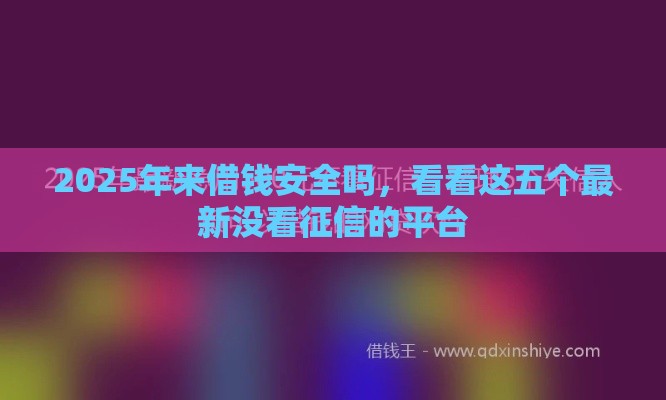 2025年来借钱安全吗，看看这五个最新没看征信的平台