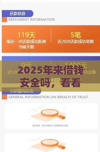 2025年来借钱安全吗，看看这五个最新没看征信的平台