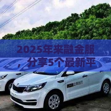 2025年来融金服,分享5个最新平台公司贷款 2025年来融金服,分享5个最新平台公司贷款