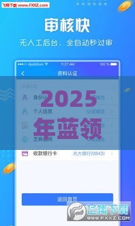 2025年蓝领贷app最新版是哪个，分享5个最新被起诉还能下款的口子