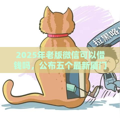 2025年老版微信可以借钱吗，公布五个最新厦门贷款平台