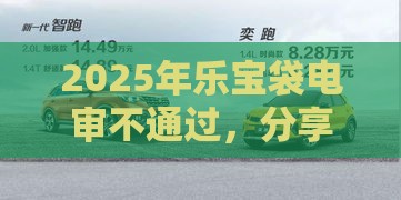 2025年乐宝袋电审不通过，分享5个最新车贷款平台