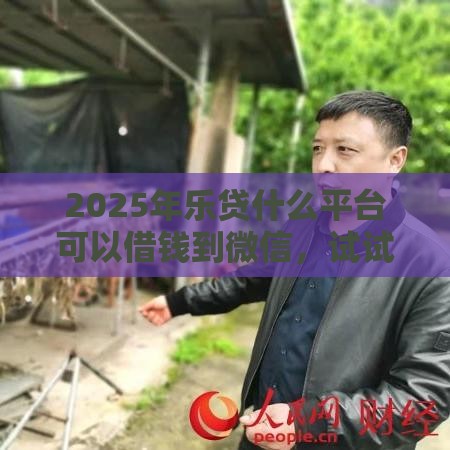 2025年乐贷什么平台可以借钱到微信，试试这五个最新有借款平台好借钱