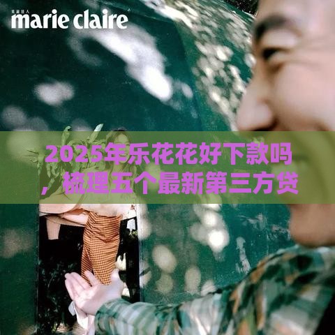 2025年乐花花好下款吗，梳理五个最新第三方贷款平台