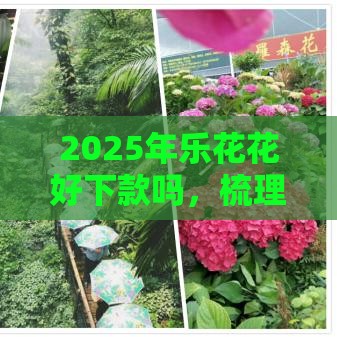 2025年乐花花好下款吗，梳理五个最新第三方贷款平台