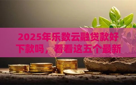 2025年乐数云融贷款好下款吗，看看这五个最新黑户高炮口子
