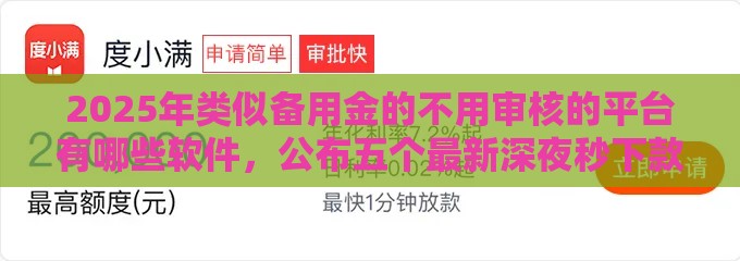 2025年类似备用金的不用审核的平台有哪些软件，公布五个最新深夜秒下款的高炮口子