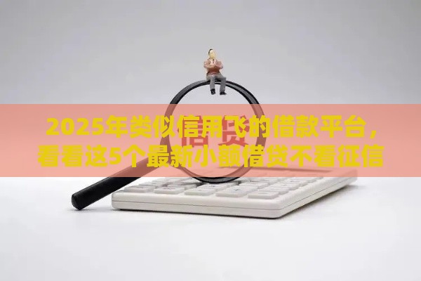 2025年类似信用飞的借款平台，看看这5个最新小额借贷不看征信的平台