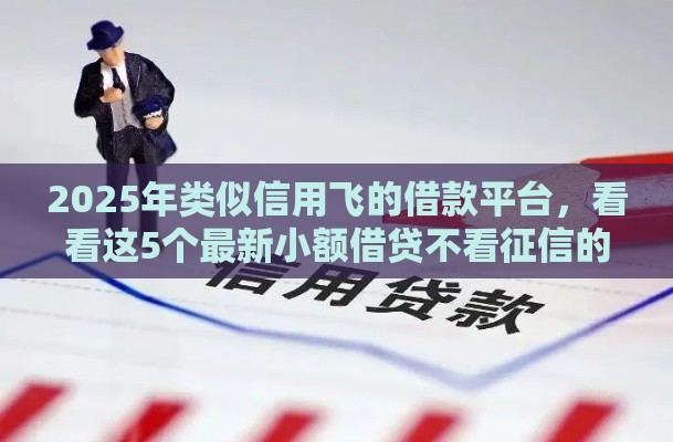2025年类似信用飞的借款平台，看看这5个最新小额借贷不看征信的平台