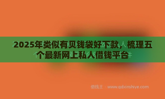 2025年类似有贝钱袋好下款，梳理五个最新网上私人借钱平台