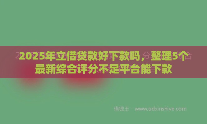 2025年立借贷款好下款吗，整理5个最新综合评分不足平台能下款