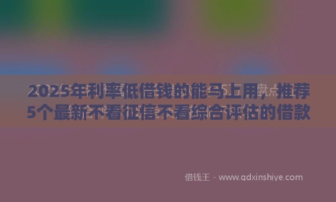 2025年利率低借钱的能马上用，推荐5个最新不看征信不看综合评估的借款平台