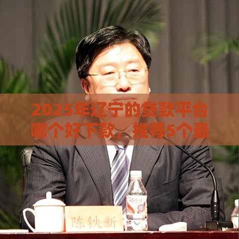 2025年辽宁的贷款平台哪个好下款，推荐5个最新14天下款的口子